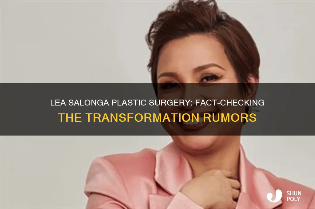 did lea salonga have plastic surgery