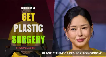 Lee Ha Ne's Transformation: Plastic Surgery Speculations and Truths