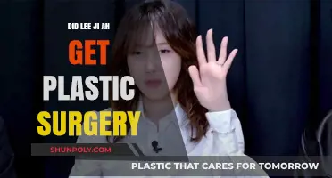 Lee Ji Ah's Transformation: Plastic Surgery Speculations and Truths