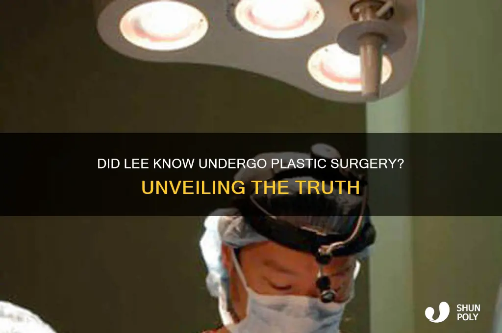 did lee know get plastic surgery