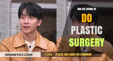 Lee Seung Gi Plastic Surgery: Fact or Fiction?