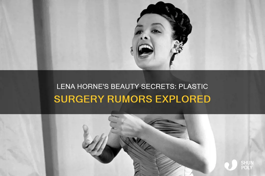 did lena horne have plastic surgery