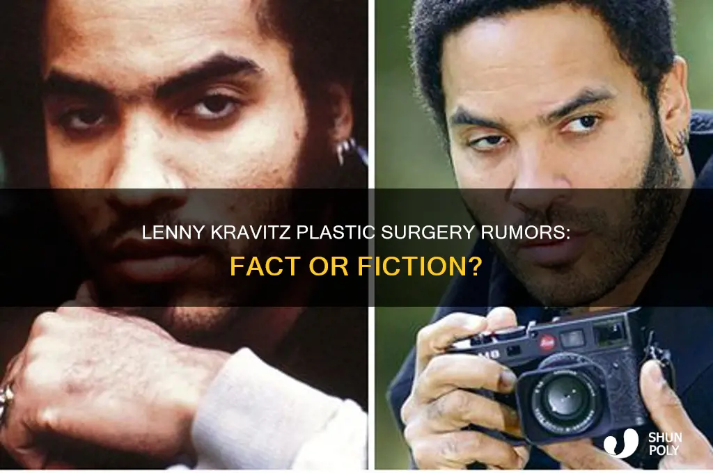 did lenny kravitz have plastic surgery