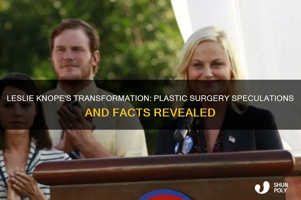 did leslie knope have plastic surgery