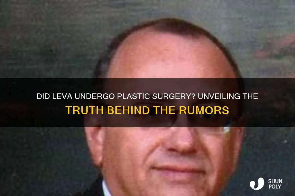 did leva get plastic surgery