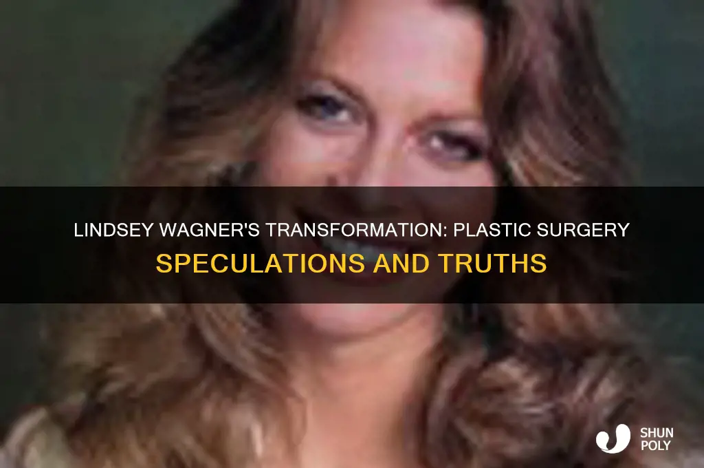 did lindsey wagner get plastic surgery