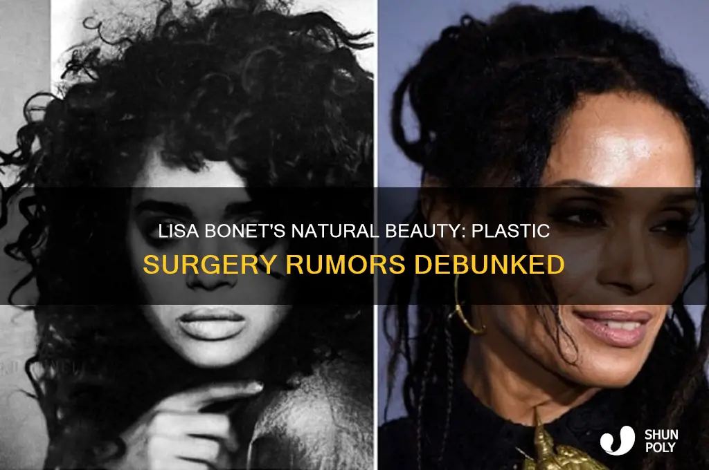 did lisa bonet have plastic surgery