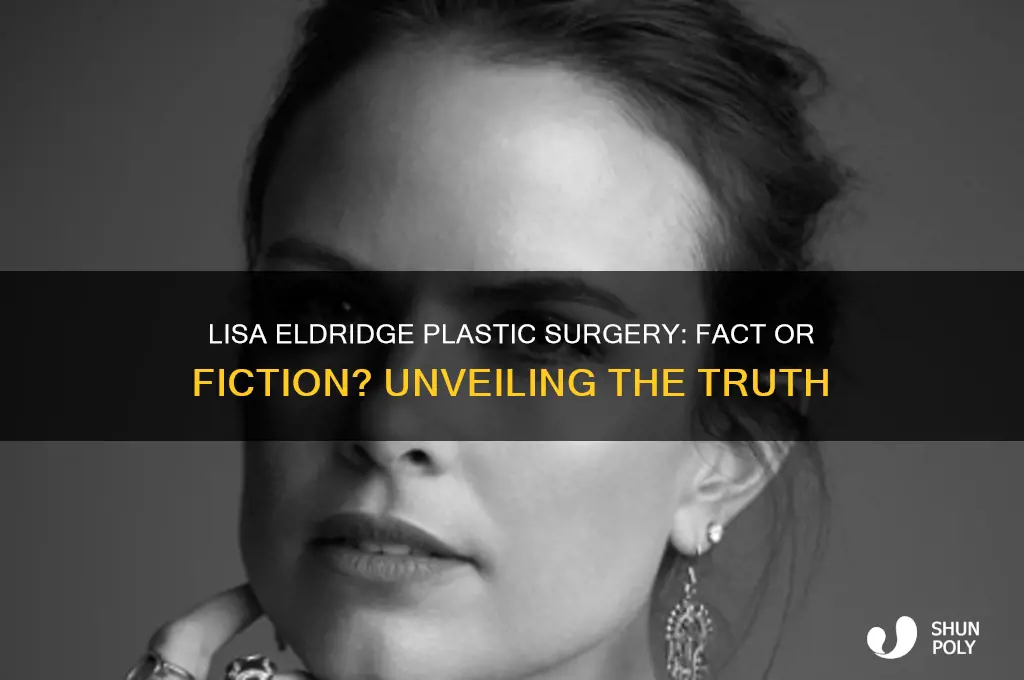 did lisa eldridge get plastic surgery