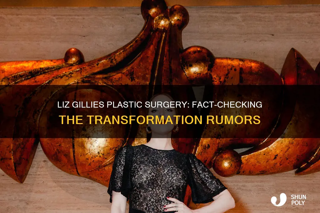 did liz gillies get plastic surgery