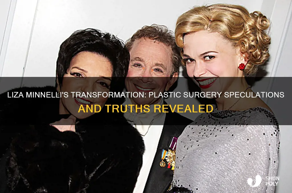 did liza minelli have plastic surgery