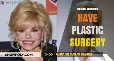 Loni Anderson's Transformation: Plastic Surgery Speculations and Truths Revealed