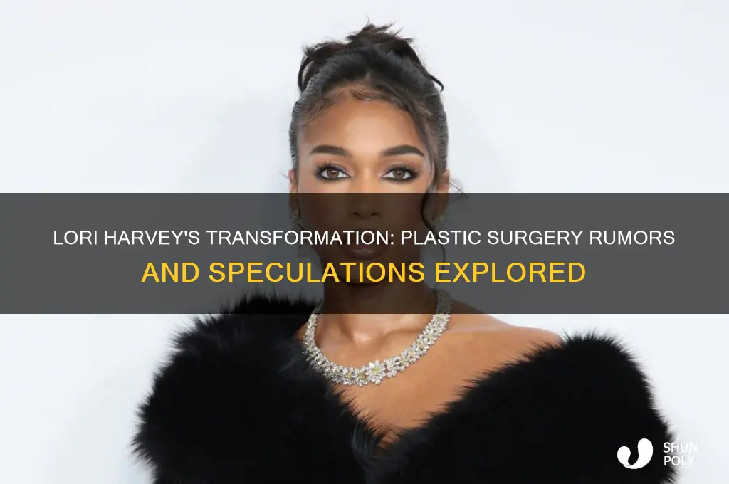 did lori harvey get plastic surgery