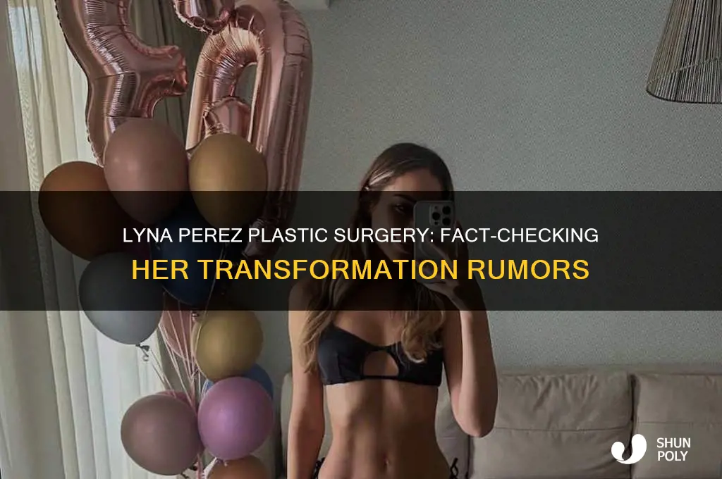 did lyna perez get plastic surgery