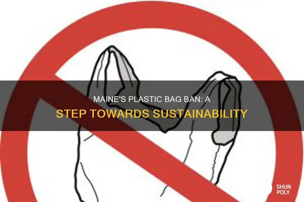 did maine ban plastic bags