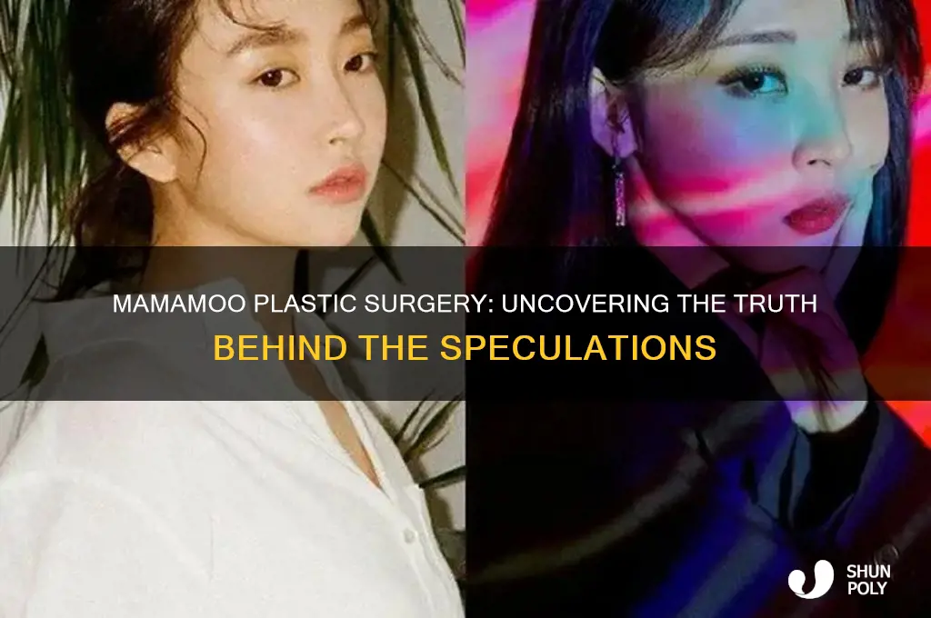 did mamamoo get plastic surgery