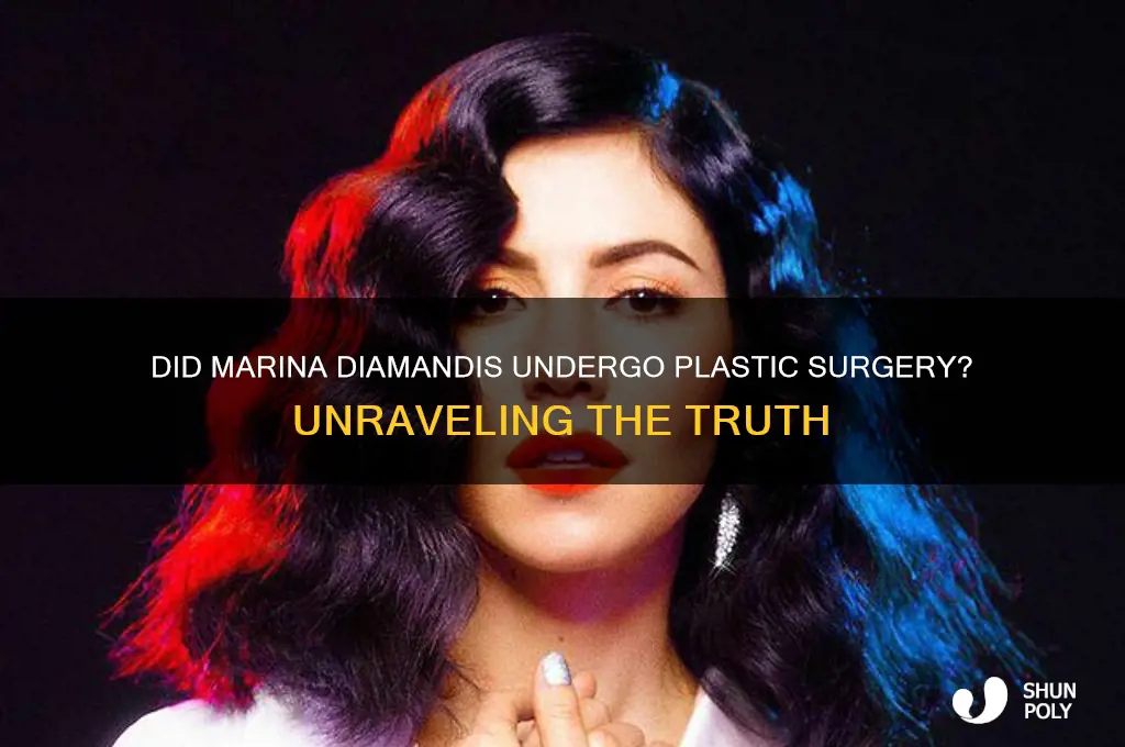 did marina from marina and the diamonds have plastic surgery
