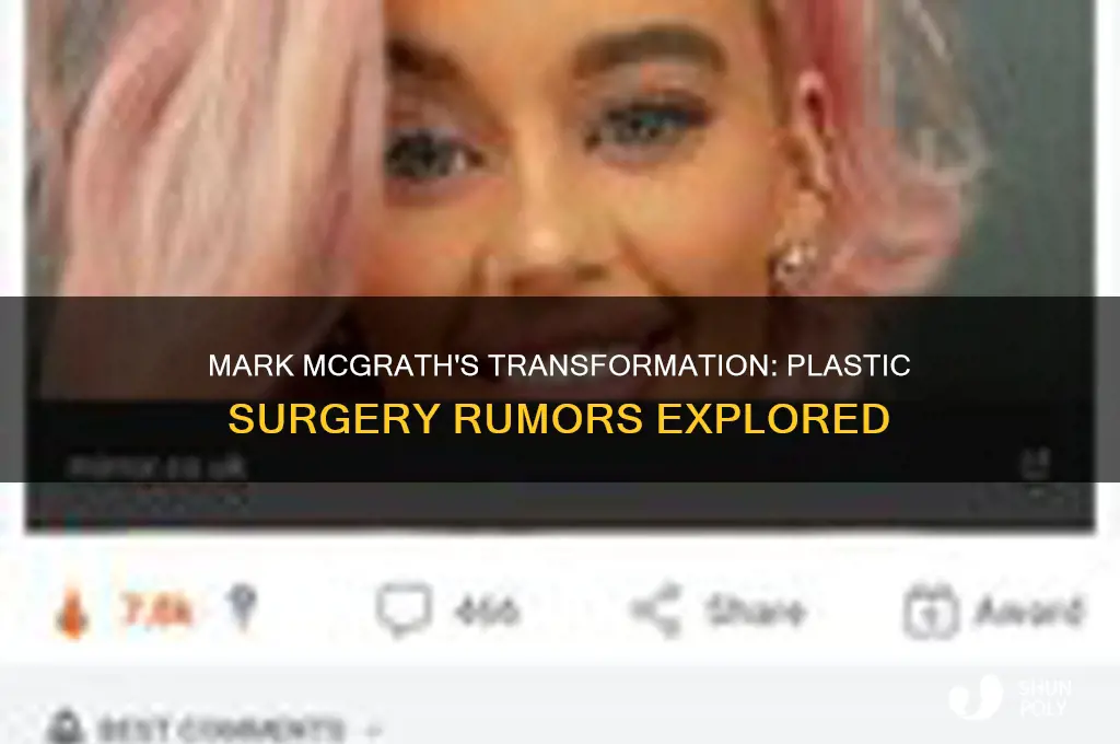 did mark mcgrath have plastic surgery