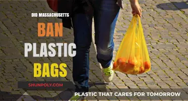 Massachusetts Bans Plastic Bags: What You Need to Know