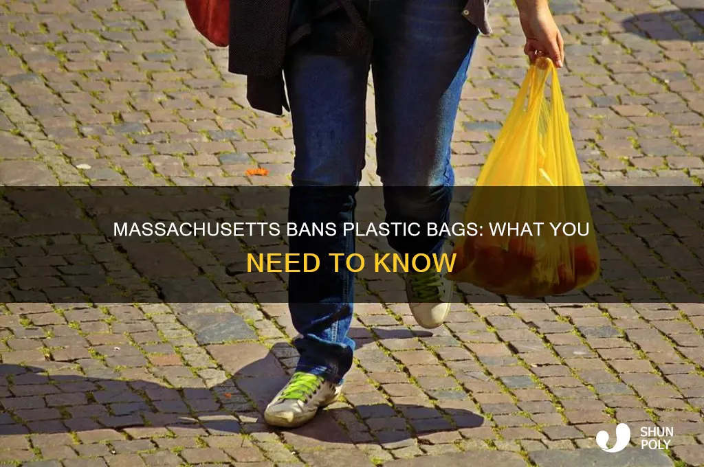 did massachusetts ban plastic bags