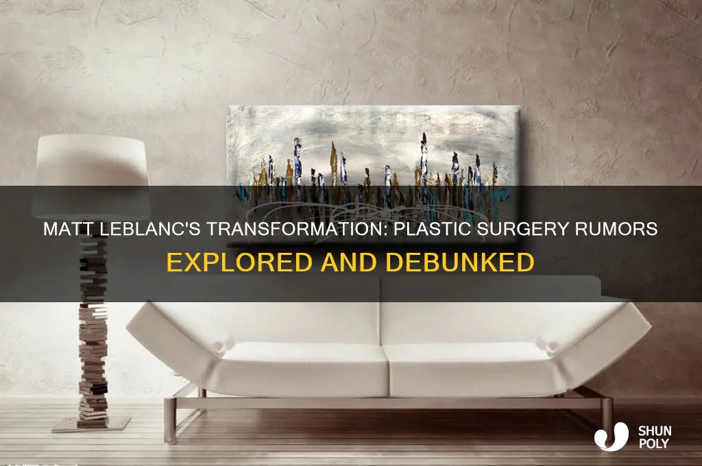 did matt leblanc get plastic surgery