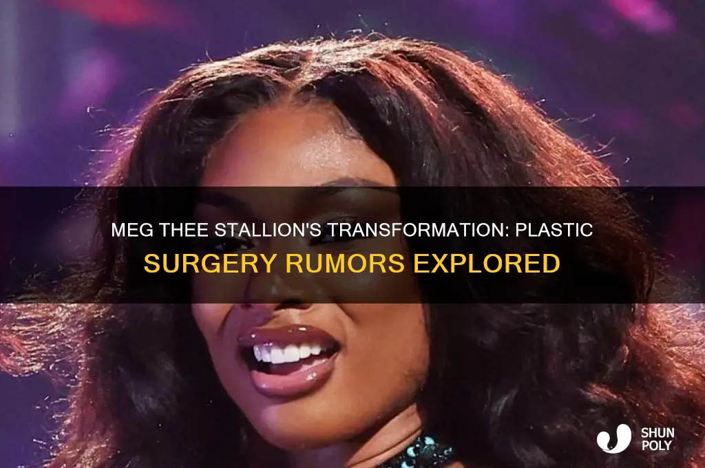 did meg the stallion get plastic surgery