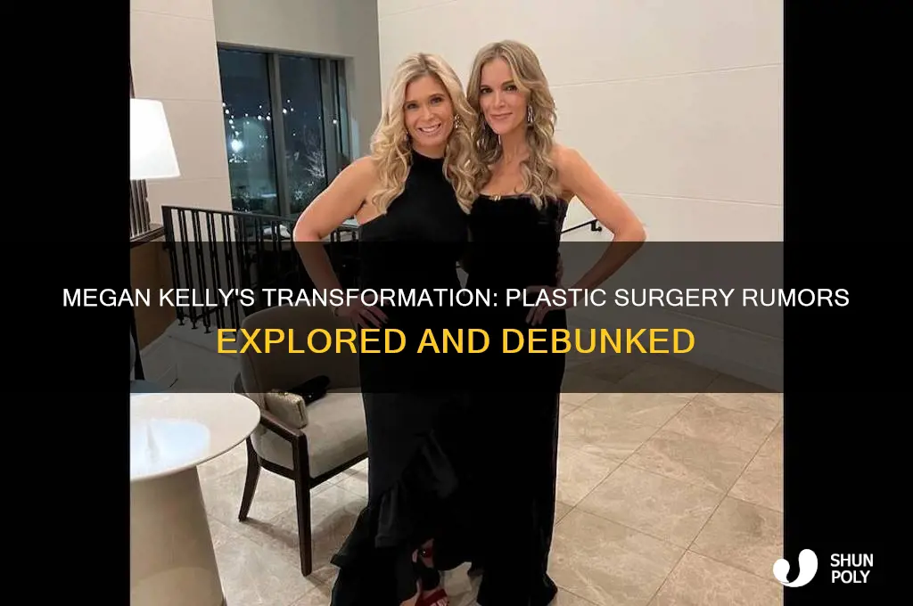 did megan kelly have plastic surgery