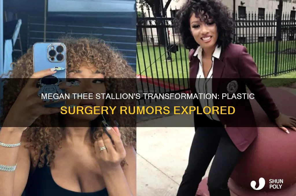 did megan stallion get plastic surgery