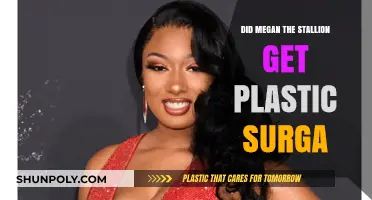 Megan Thee Stallion's Transformation: Plastic Surgery Speculations and Truths