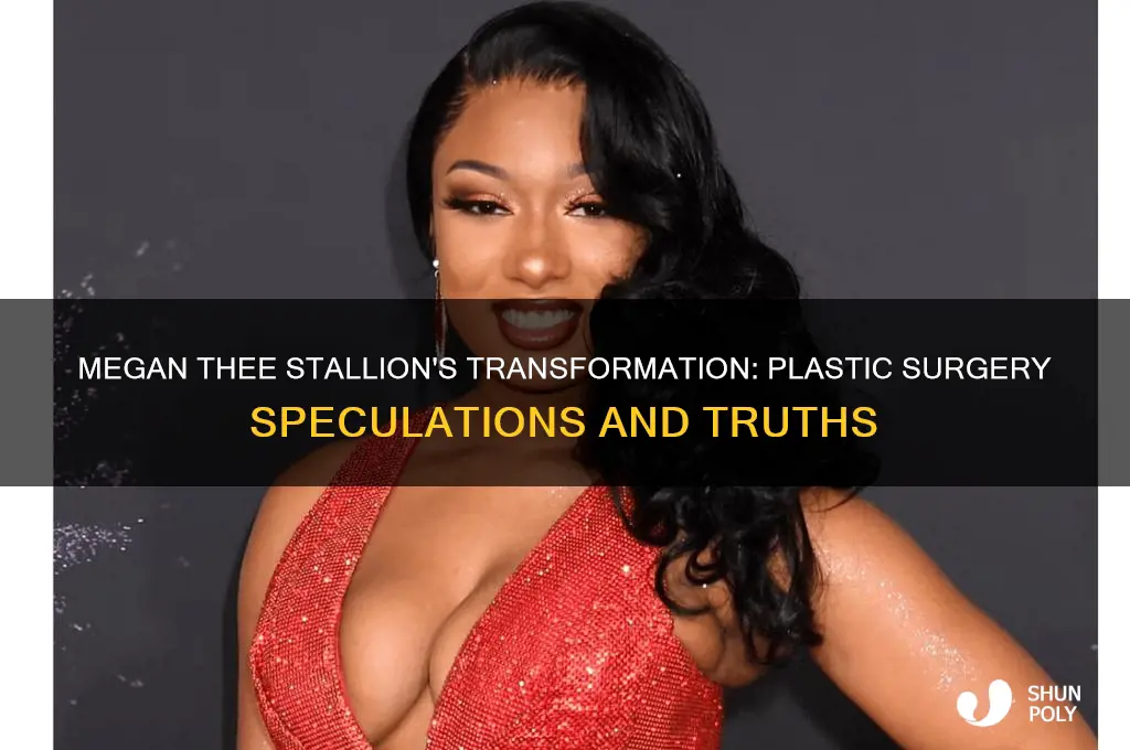 did megan the stallion get plastic surga