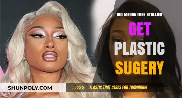 Megan Thee Stallion Plastic Surgery Rumors: Fact or Fiction?
