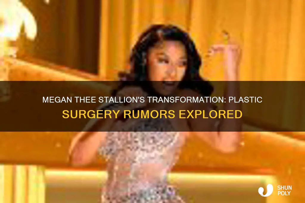 did megan thee stallion get plastic surgery