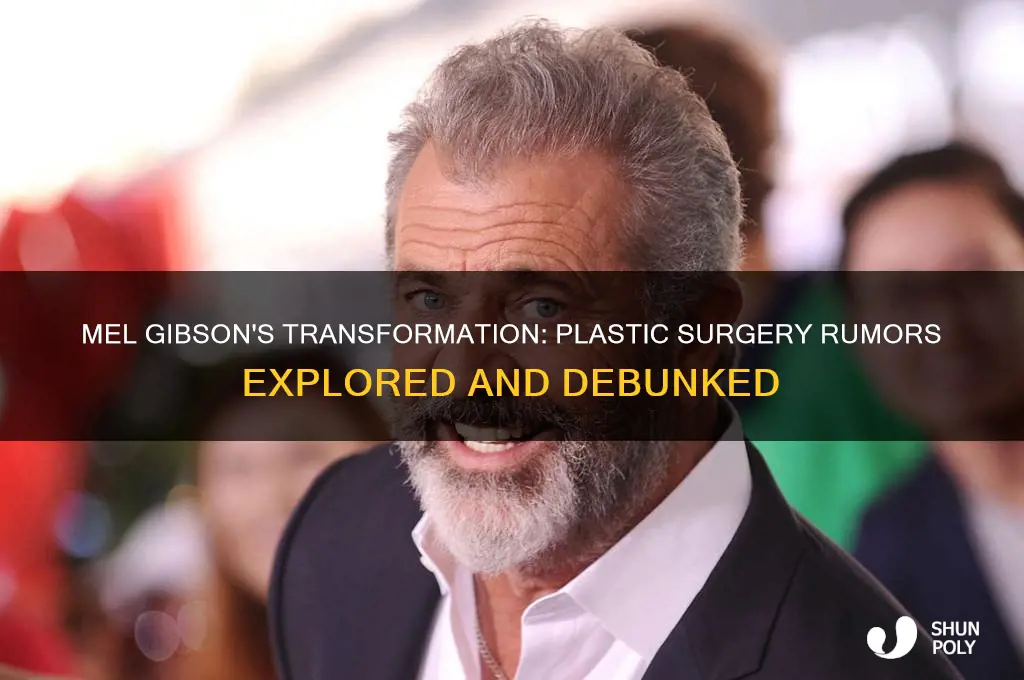 did mel gibson ever have plastic surgery