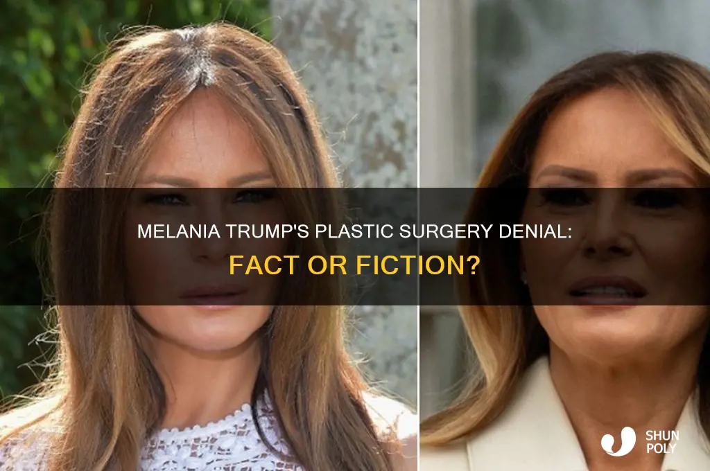did melania trump say she