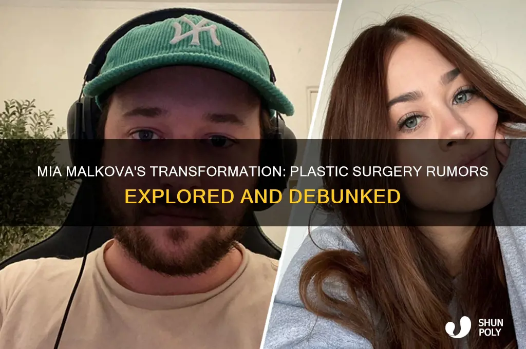 did mia malkova get plastic surgery