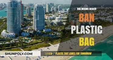 Miami Beach Bans Plastic Bags: New Environmental Rules