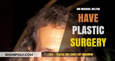 Michael Bolton's Transformation: Plastic Surgery Rumors Explored and Debunked