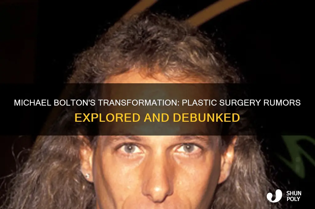 did michael bolton have plastic surgery
