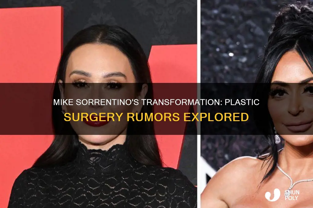 did mike sorrentino have plastic surgery