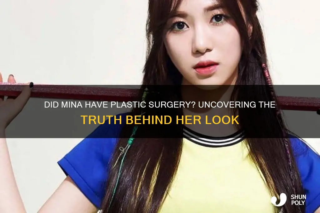 did mina have plastic surgery
