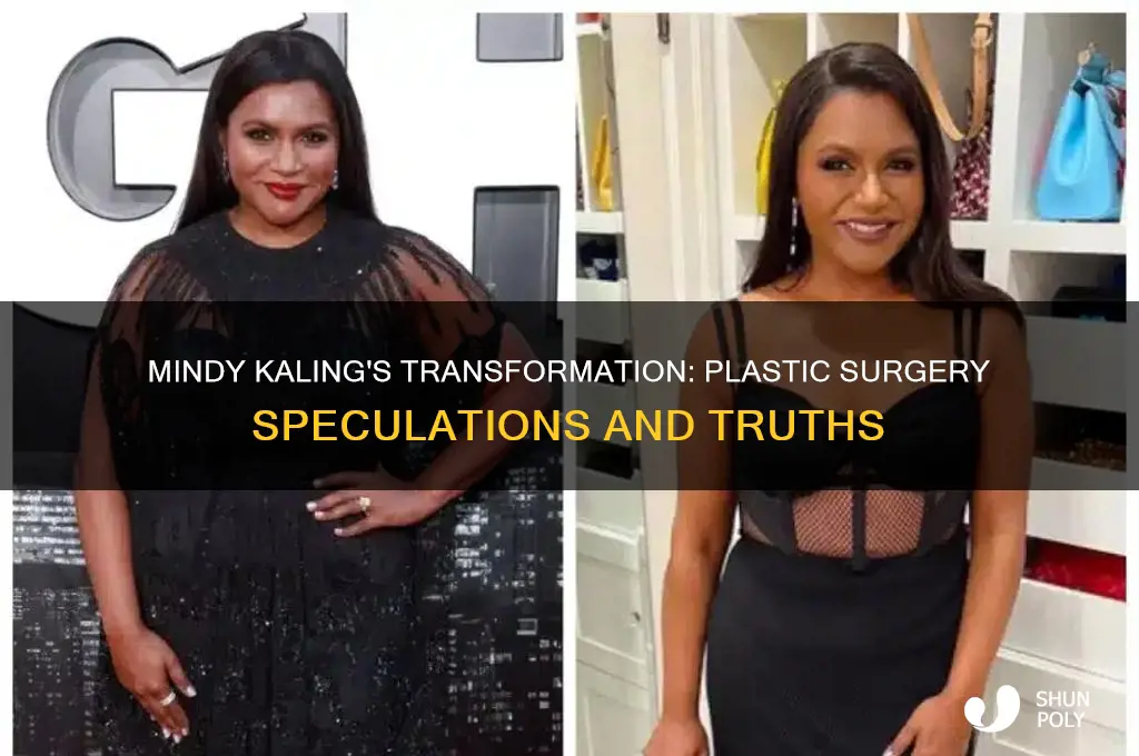 did mindy kaling get plastic suregery