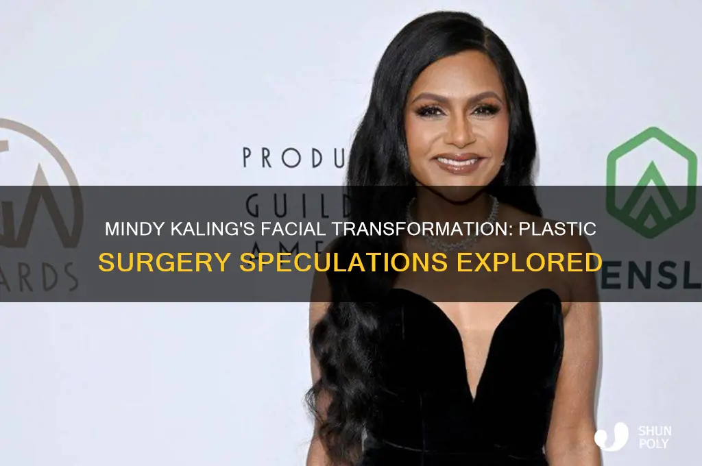 did mindy kaling get plastic surgery on her face