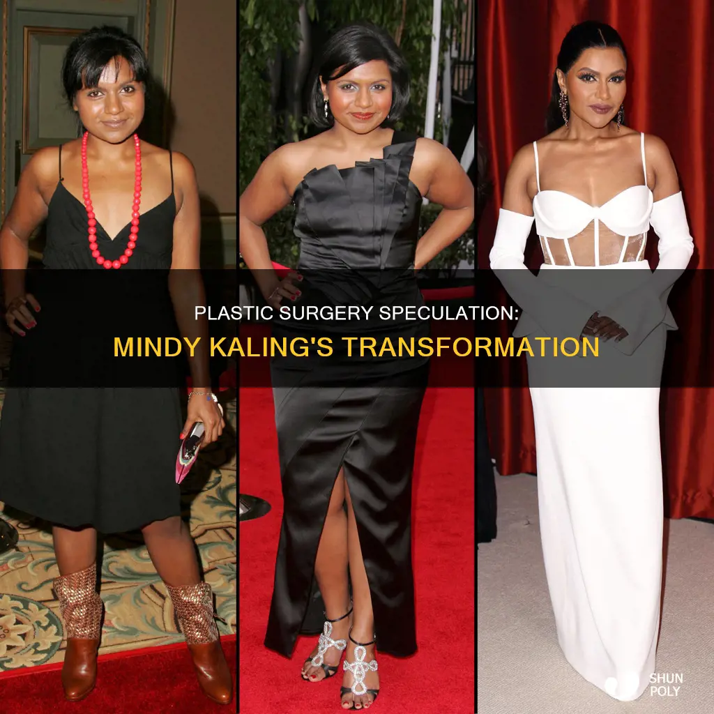 did mindy kaling have any plastic srgery