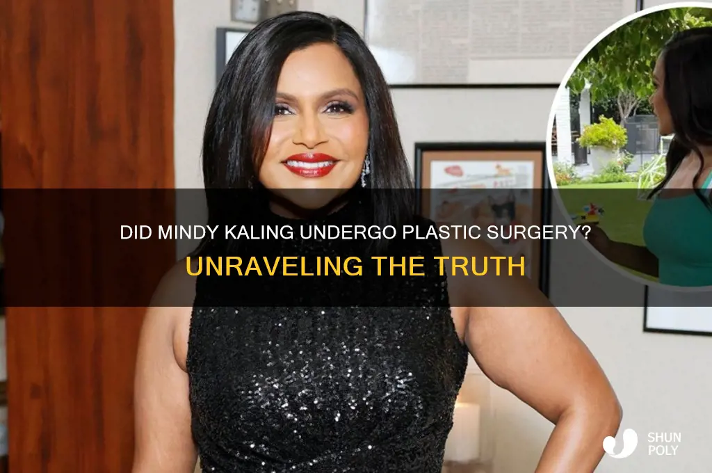 did mindy plastic surgery