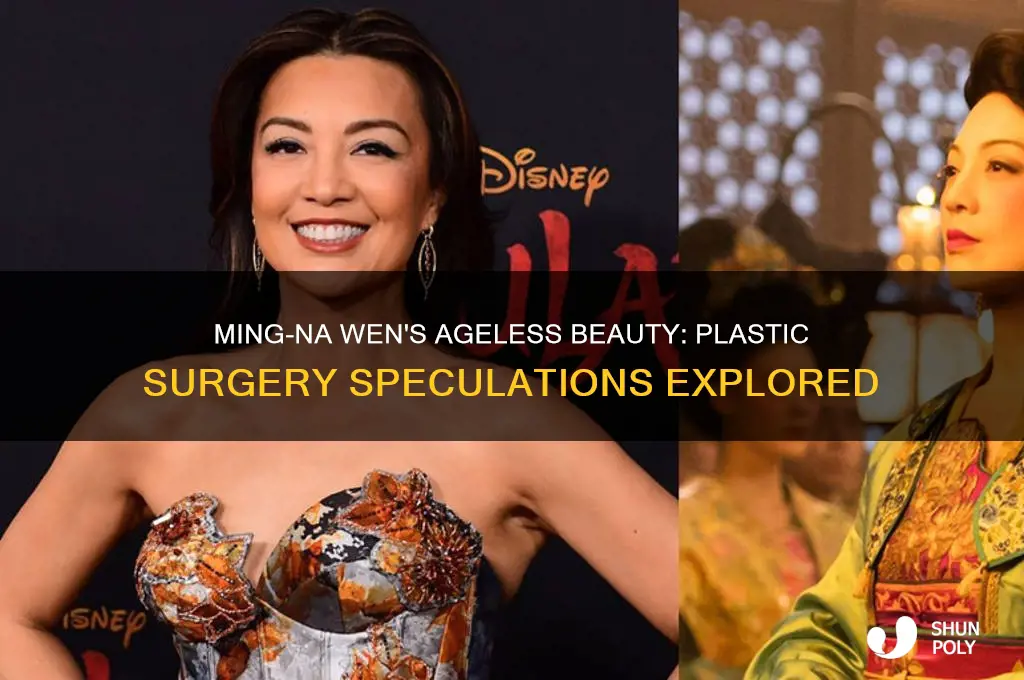 did ming na wen have plastic surgery