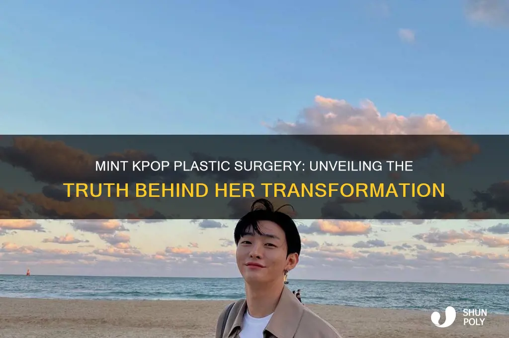 did mint kpop get plastic surgery