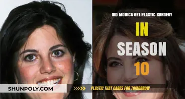 Monica's Transformation: Plastic Surgery Speculations in Friends Season 10