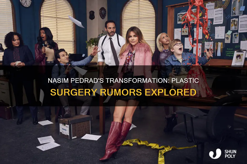 did nasim pedrad have plastic surgery