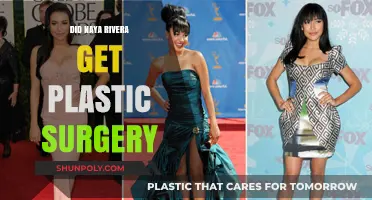 Naya Rivera's Transformation: Plastic Surgery Rumors Explored and Debunked
