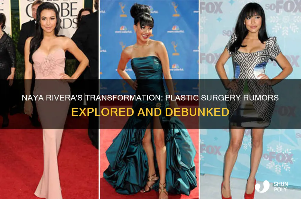 did naya rivera get plastic surgery
