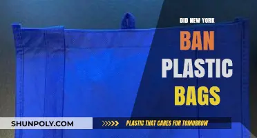 The Plastic Bag Ban: New York's Environmental Initiative